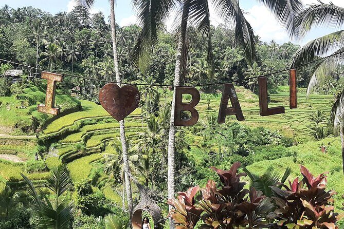 Ubud Tour - Highlights of Ubud - Who Is This Tour Perfect For?
