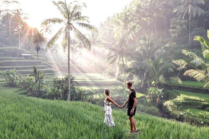 Ubud Tour: Monkey Forest - Temple - Waterfall & Rice Terrace - Price and Value