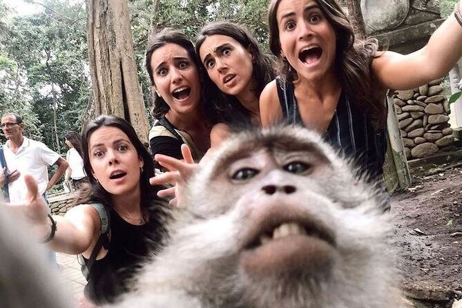 Ubud Tour (Monkey Forest, Tirta Empul Temple, Waterfall, Rice Terrace and Swing) - Who Will Love This Tour?