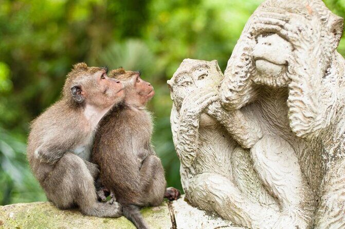 Ubud Tour - Ubud Highlight - Private Tour All inclusive - Key Points
