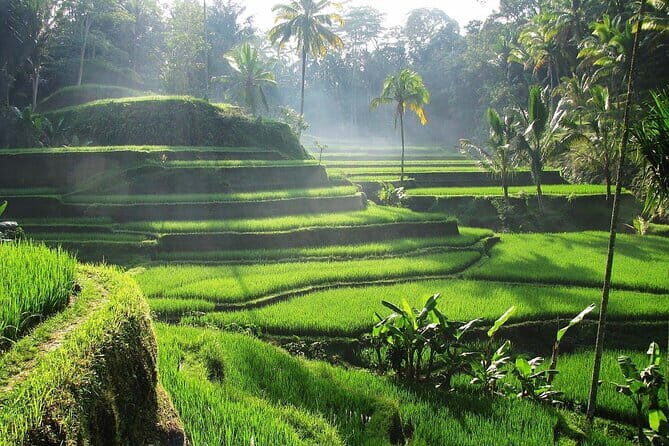 Ubud Tour Water Temple with Jungle Swing - Key Points