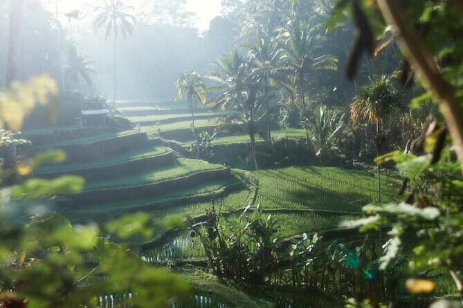 Ubud Tour Water Temple with Jungle Swing - Who’s This Tour Best For?