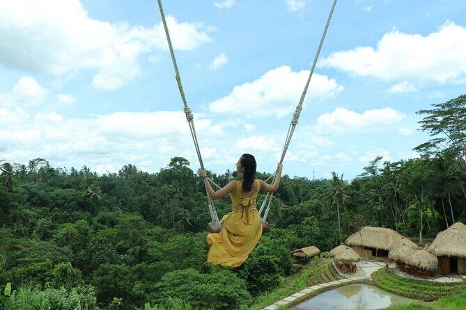 Ubud Tour With Bali Swing All Inclusive - Practical Details & Value
