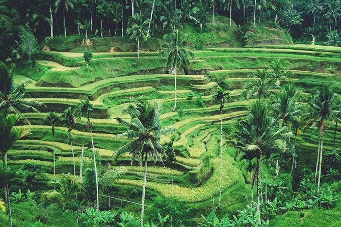 Ubud Trip, The Best of Ubud in a day - All Inclusive - Final Thoughts