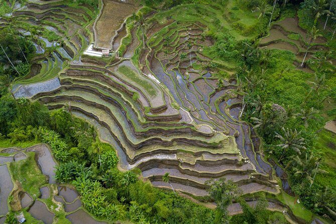 Ubud Volcano Lake and Natural Hot Spring Tour - What Could Be Improved?