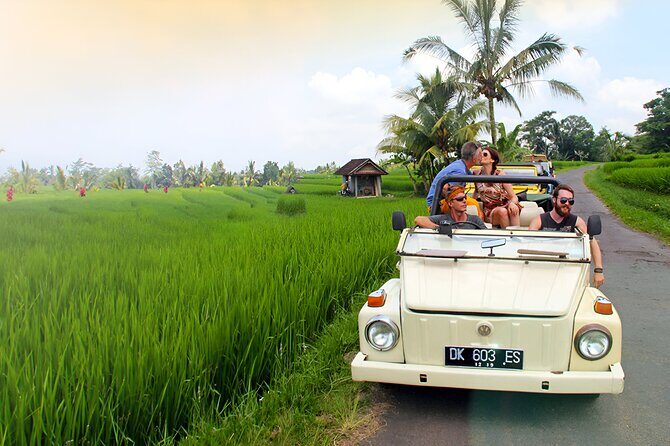 Ubud VW Safari Bali Tour - Volkswagen Classic Car Trip - Who Is This Tour Best For?