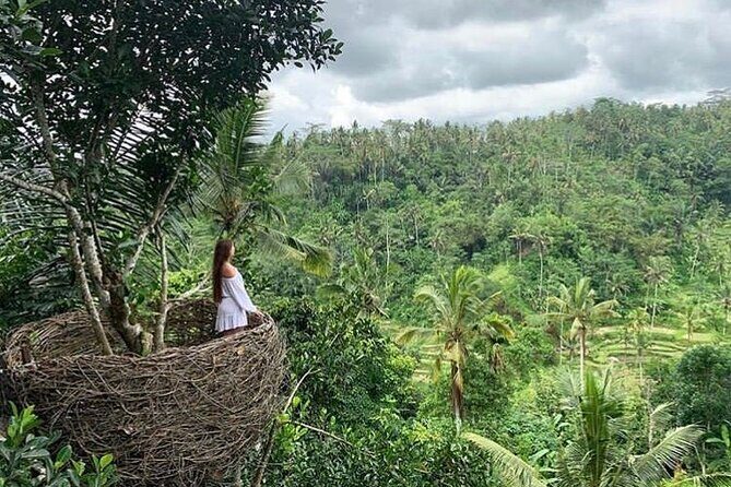 Ubud waterfall, rice terraces, and swing explore - Authentic Experiences and Guest Perspectives