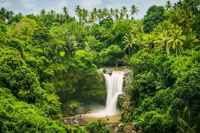 Ubud waterfall, rice terraces, and swing explore - The Sum Up: Who Should Book This Tour?