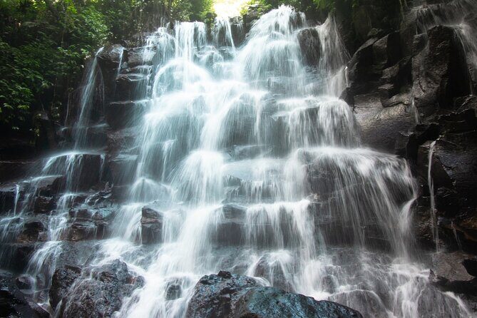 Ubud Waterfalls and Rice Terraces Private Day Tour - Experiences and Reviews from Others