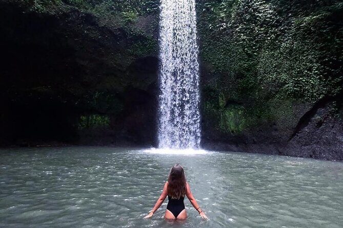 Ubud Waterfalls, Temple and Rice Terrace - Private Tour - An In-Depth Look at the Ubud Waterfalls, Temple, and Rice Terrace Tour