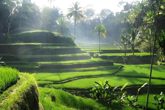 Ubud: Waterfalls, Water Temple & Rice Terraces Private Tour - Exploring Ubud’s Natural and Cultural Gems