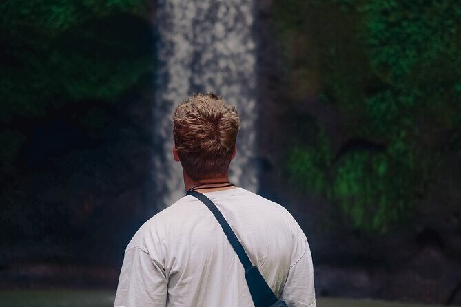 Ubud: Waterfalls, Water Temple & Rice Terraces Private Tour - Who Should Consider This Tour?