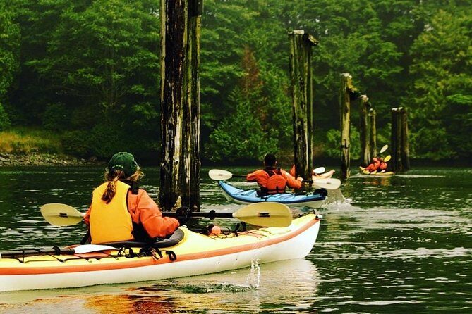 Ucluelet Harbour Tour - An In-Depth Look at the Ucluelet Harbour Tour