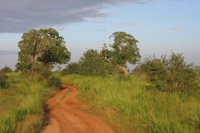 Uda Walawa Safari 1-Day-Tour from Mirissa, Weligama, Ahangama - Transportation and Timing