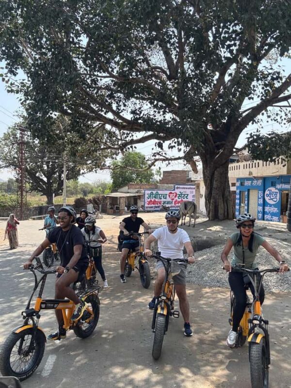 Udaipur: Off-the-Beaten Path Guided E-Bike Tour - An Introduction to the Experience