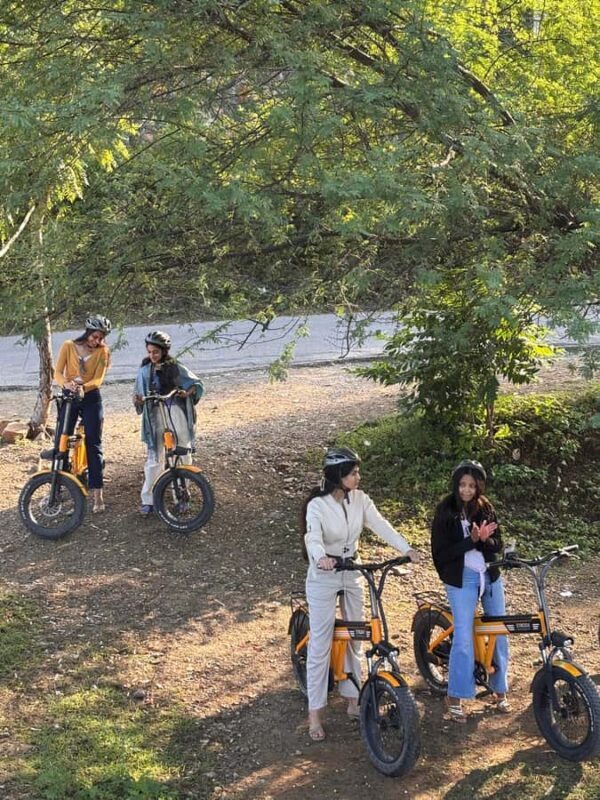 Udaipur: Off-the-Beaten Path Guided E-Bike Tour - What’s Included & What to Consider