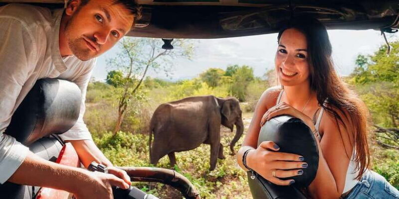 Udawalawa National Park: All-Inclusive Private Day Tour - Who Should Consider This Tour?