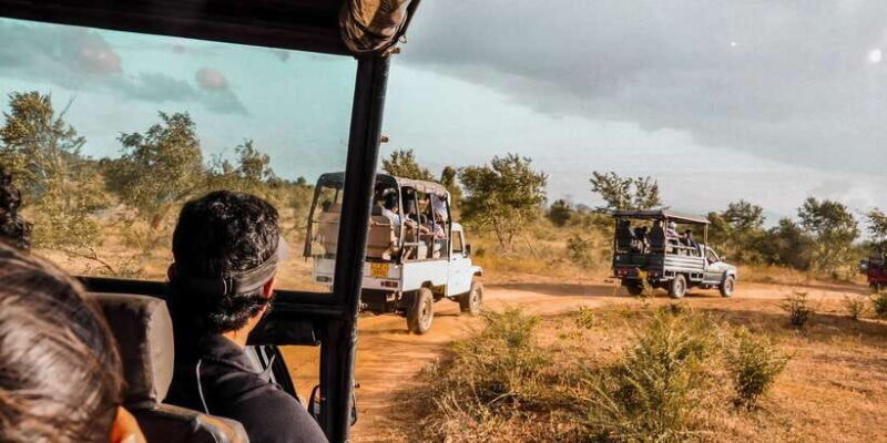 Udawalawa National Park: Private Safari - Key Points