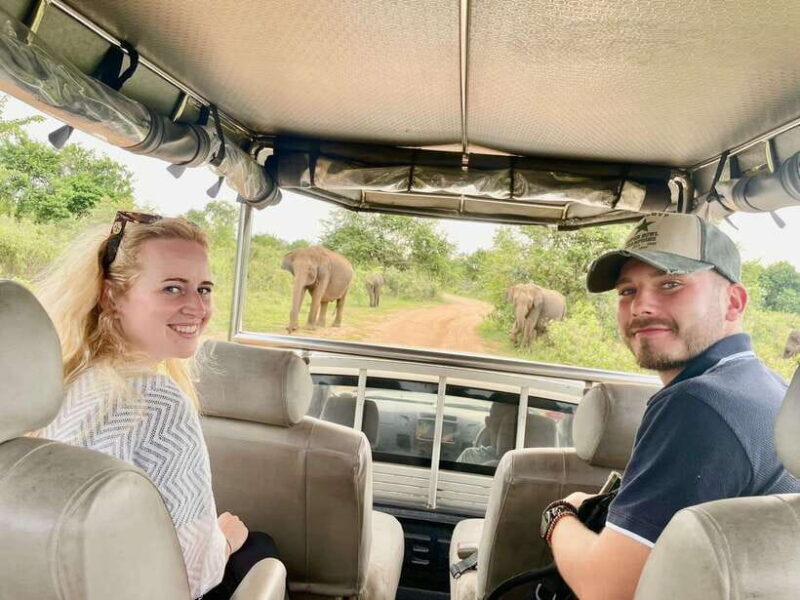 Udawalawa National Park Safari & Elephant Transit Home Tour - The Itinerary: What You Can Expect