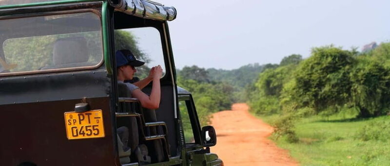 Udawalawa: Udawalawa National Park Safari Tour - Why You’ll Love the Udawalawe Safari Experience