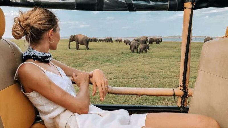 Udawalawa: Udawalawa National Park Safari Tour - Deep Dive: The Practical Details