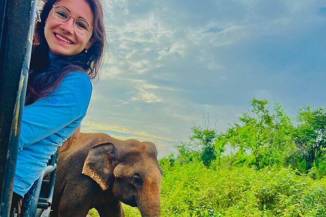 Udawalawa Wild Life Safari - An In-Depth Look at What to Expect