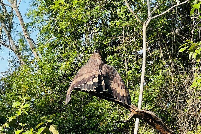Udawalawa Wild Life Safari - FAQ