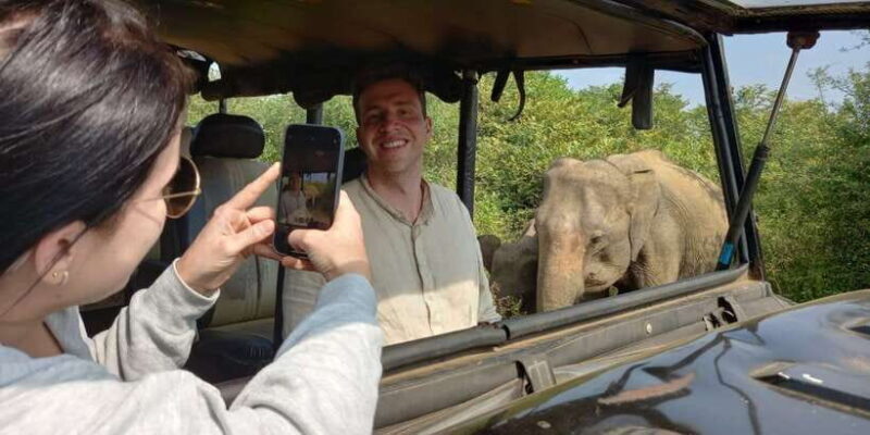 Udawalawe National Park - 7 Hours Private Safari tour - The Itinerary: What to Expect