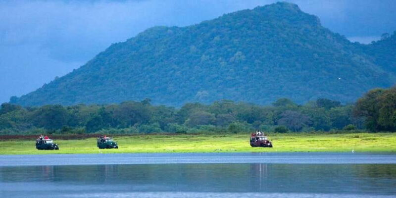 Udawalawe National Park Private Full-Day Safari - Introduction