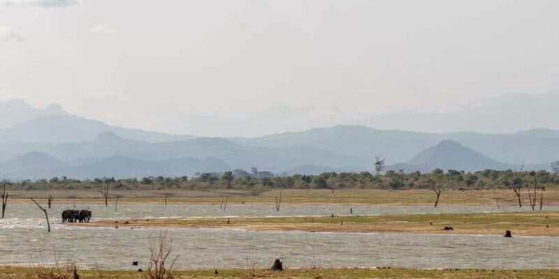 Udawalawe National Park Private Full-Day Safari - Key Points