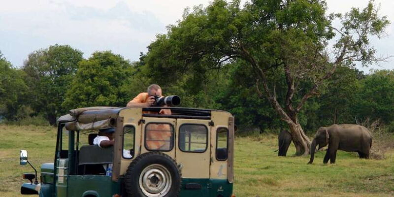 Udawalawe National Park Private Full-Day Safari - Genuine Feedback from Travelers