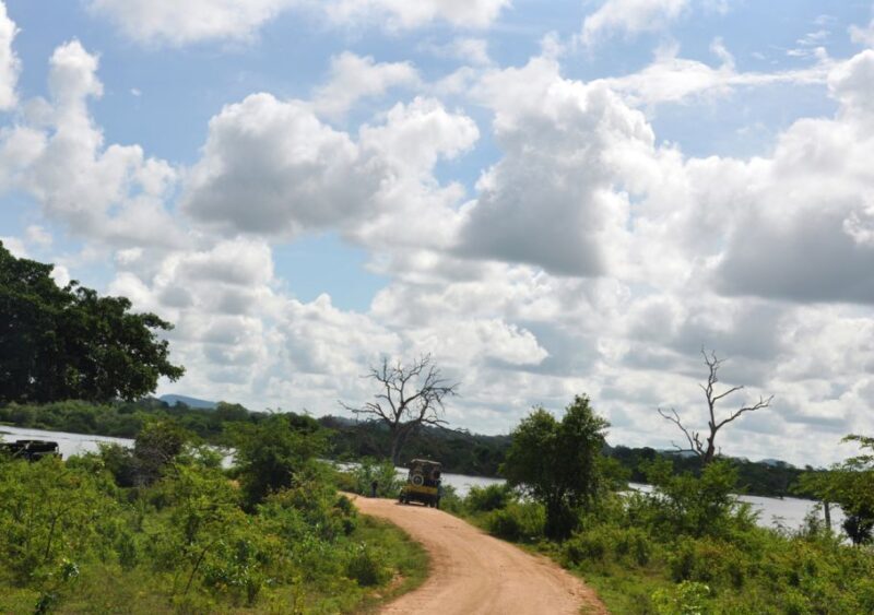 Udawalawe National Park Private Full-Day Safari - FAQ