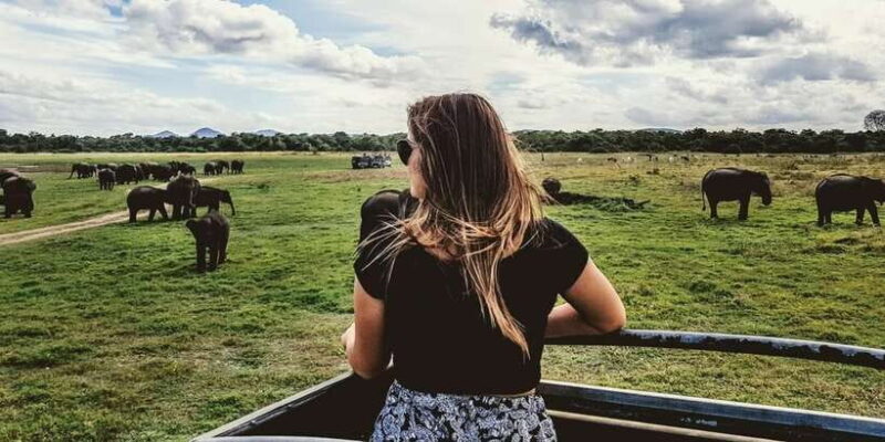 Udawalawe: National Park Safari & Elephant Transit Home Tour - The Sum Up
