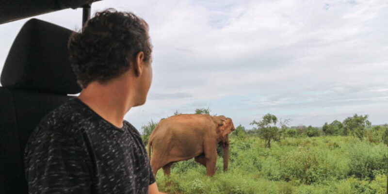 Udawalawe National Park Safari & Elephant Transit Home Visit - What’s Included and What’s Not