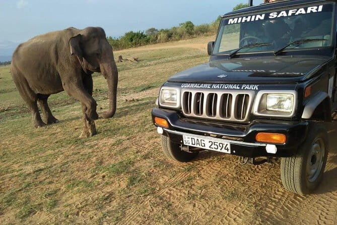 Udawalawe National Park Safari | From Ella - Why This Safari from Ella Is a Solid Choice