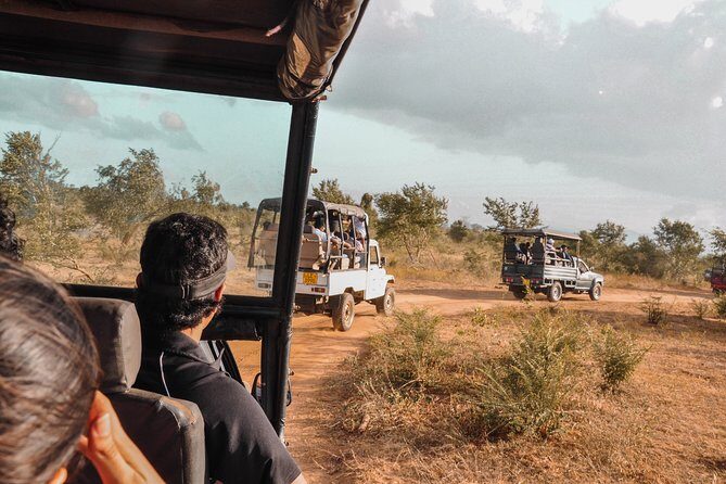 Udawalawe National Park Safari from Galle - Price and Value