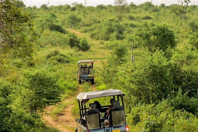 Udawalawe National Park Safari from Hambantota Seaport - Key Points