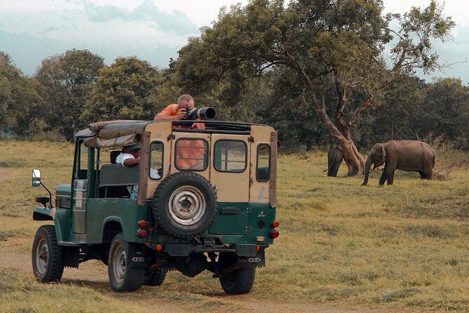 Udawalawe National Park Safari from Mirissa - The Sum Up: Who Is This Tour Best For?