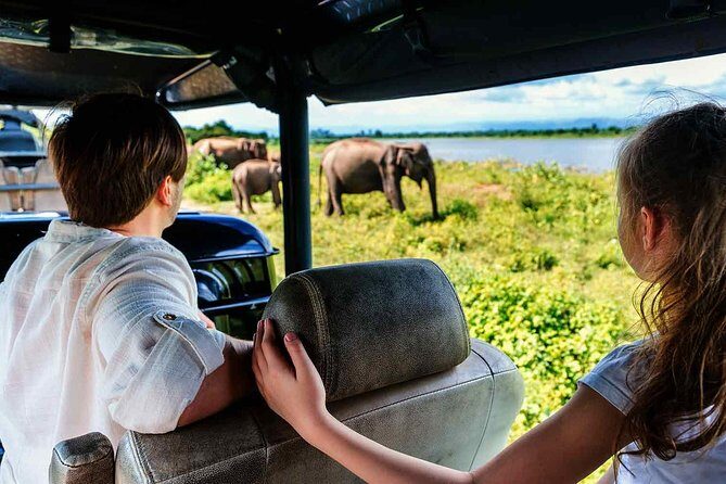 Udawalawe National Park Safari with Elephant Transit Home Visit - Is It Worth It?
