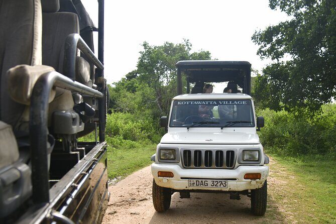 Udawalawe National Park Wildlife Safari Tours - Final Thoughts