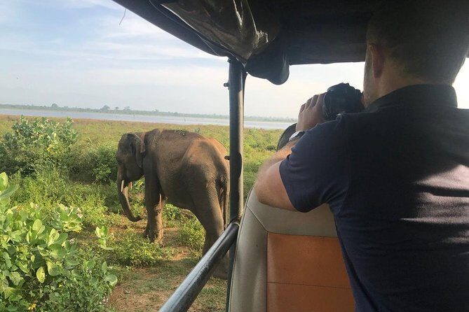 Udawalawe National park with Elephant Transit Home From Colombo - Practical Tips for Travelers