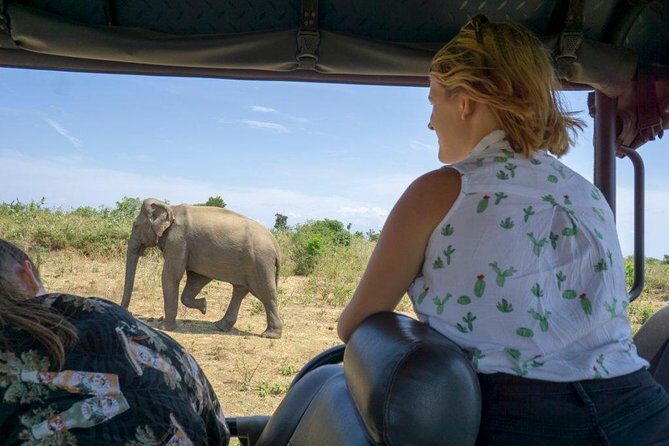 Udawalawe National park with Elephant Transit Home From Colombo - Common Questions Answered