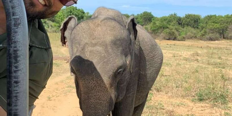 Udawalawe National park with Safari jeep & Entrance ticket - The Practical Side: What You Need to Know