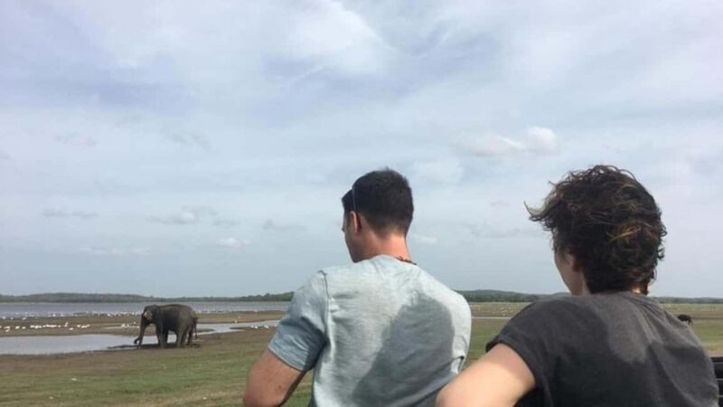 Udawalawe: Private Safari with Picnic and Hotel Pickup - An Authentic and Flexible Safari Experience