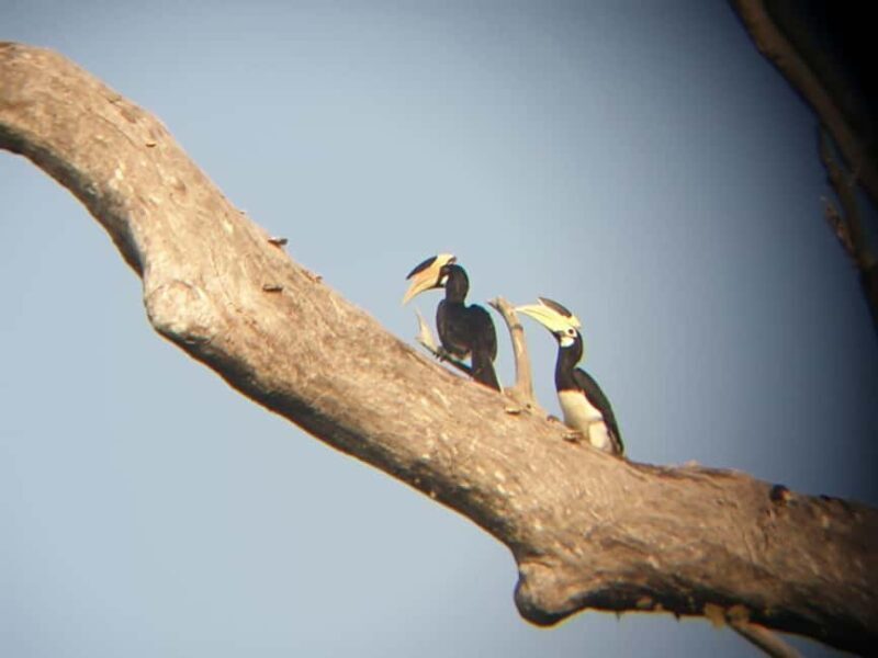 Udawalawe: Private Safari with Picnic and Hotel Pickup - Frequently Asked Questions