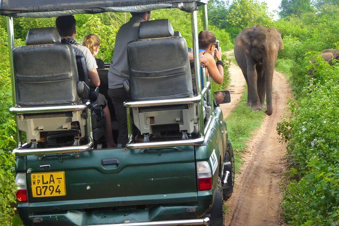 Udawalawe Safari Day Trip from South Region & Transfer to Ella - Practical Tips