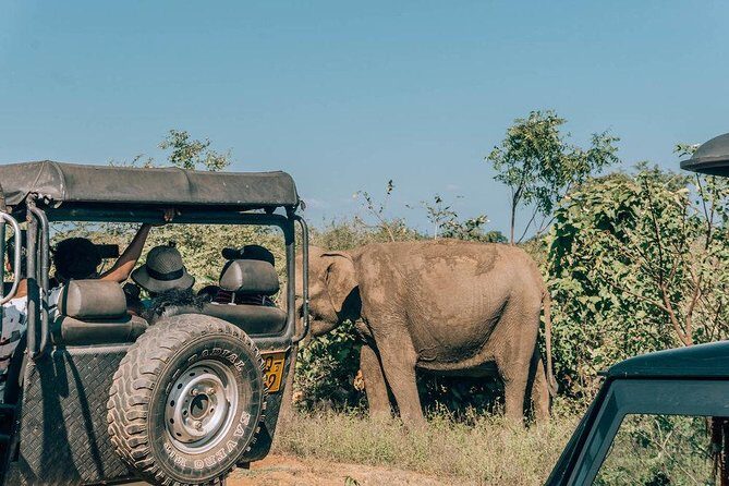 Udawalawe Safari & Elephant Transit Home Visit with Lunch from Hambantota Harbor - Frequently Asked Questions
