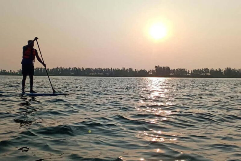 Udupi: Backwaters tour with local cuisine - An In-Depth Look at the Udupi Backwaters Tour