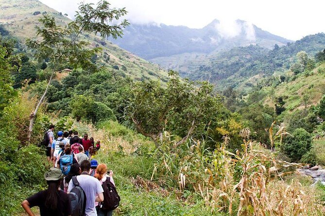 UDZUNGWA NATIONAL PARK AND WATERFALLS - 3 Days - FAQ