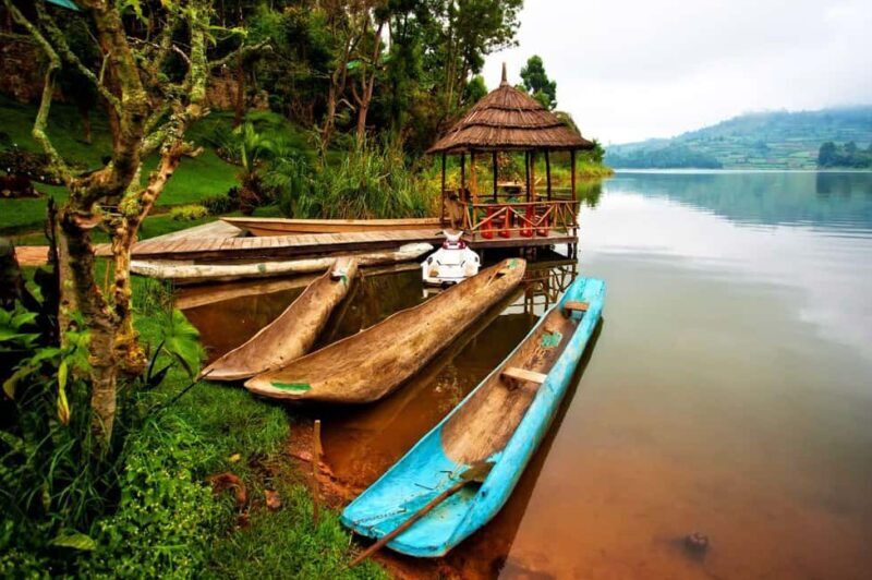 Uganda: 12-Day Gorillas & Wildlife Vacation Safari - The Full Experience: An In-Depth Look at the 12-Day Uganda Safari